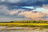 Irish Creek_25626